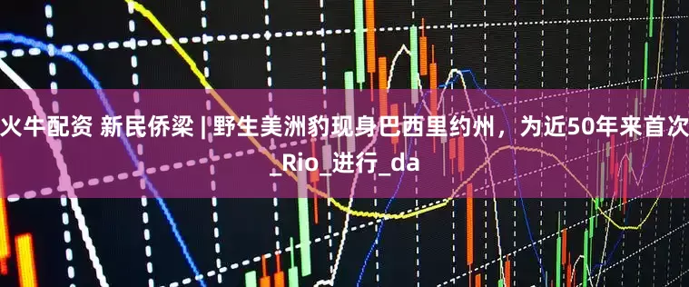 火牛配資 新民僑梁 | 野生美洲豹現(xiàn)身巴西里約州，為近50年來首次_Rio_進(jìn)行_da