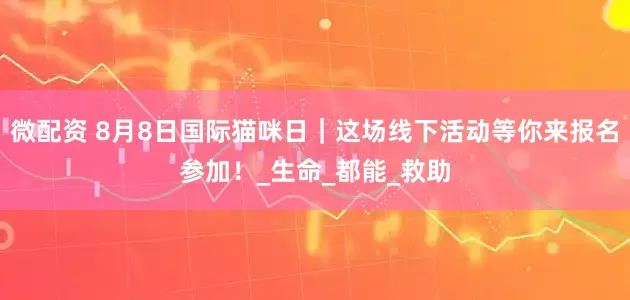 微配資 8月8日國(guó)際貓咪日｜這場(chǎng)線下活動(dòng)等你來(lái)報(bào)名參加！_生命_都能_救助